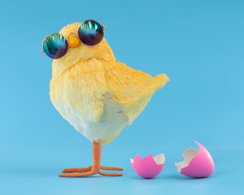 shutterstock_1939562797
